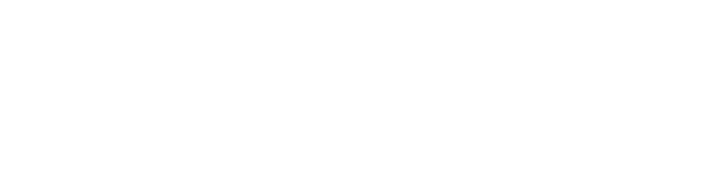 Parell Consultancy Timeline 1 arrow