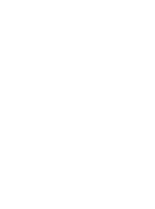 Parell Pentesten Timeline 3