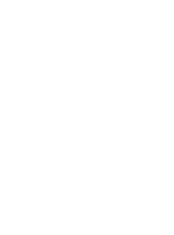 Parell Awareness Timeline 3