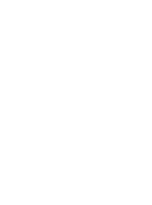 Parell Pentesten Timeline 5