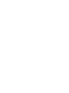 Parell Pentesten Timeline 6