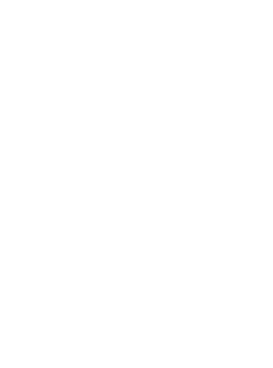 Parell Awareness Timeline 6