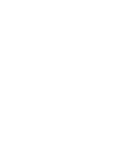 Parell Pentesten Timeline 8