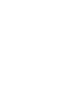 Parell Pentesten Timeline 8